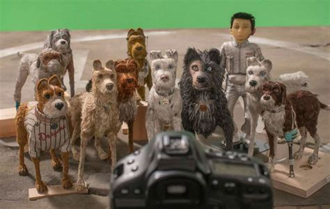 Wes Anderson: «Il mio nuovo film per il mio mondo cane»